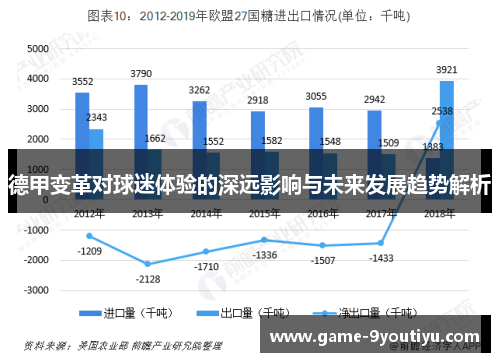 德甲变革对球迷体验的深远影响与未来发展趋势解析