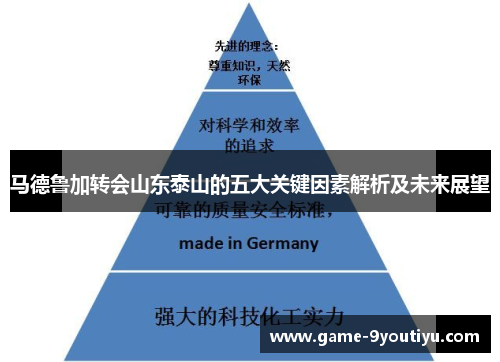 马德鲁加转会山东泰山的五大关键因素解析及未来展望